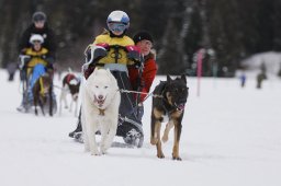 Lenzerheide 2013